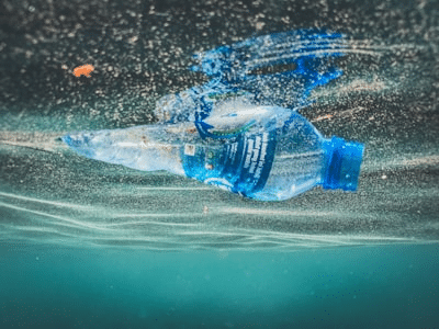 Pictures of marine plastics